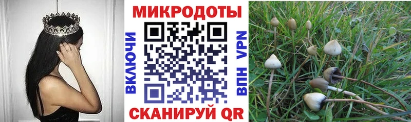 Псилоцибиновые грибы MAGIC MUSHROOMS  как найти закладки  Тюкалинск 